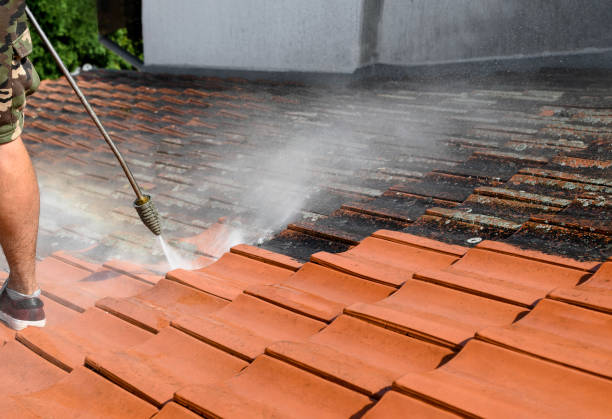 Best House Pressure Washing  in West Easton, PA