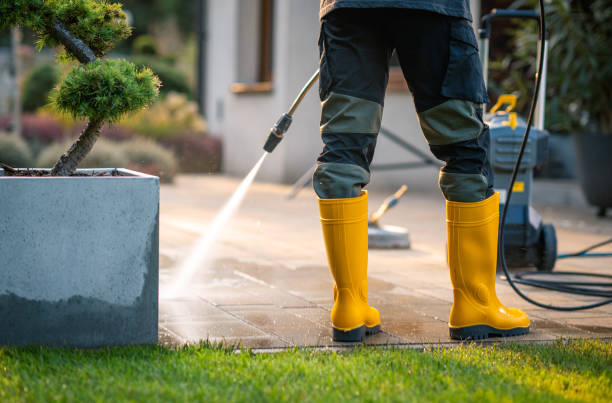 Best Pressure Washing Company Near Me  in West Easton, PA